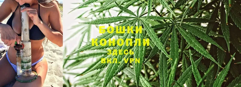 Конопля White Widow  мега сайт  Завитинск  закладки 